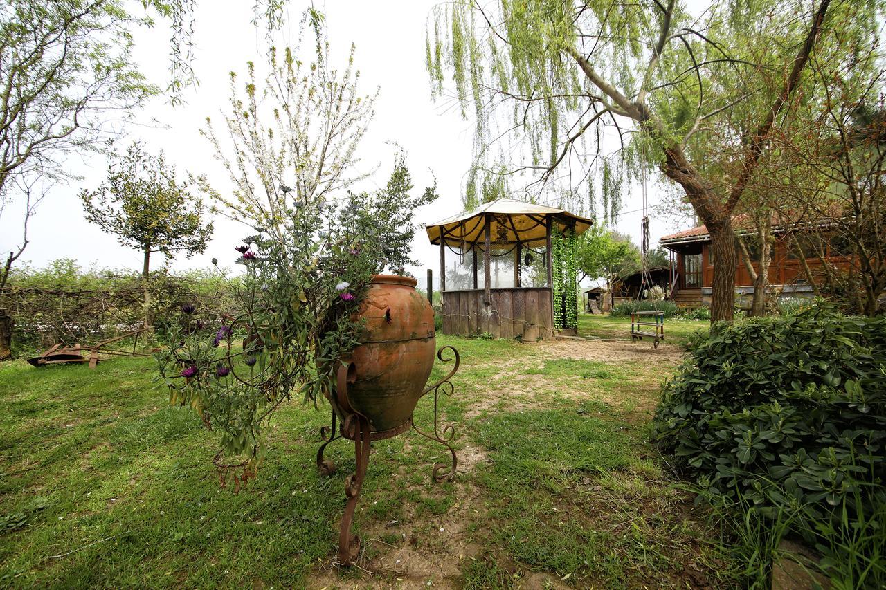 Tartaruga Motel Goce Extérieur photo